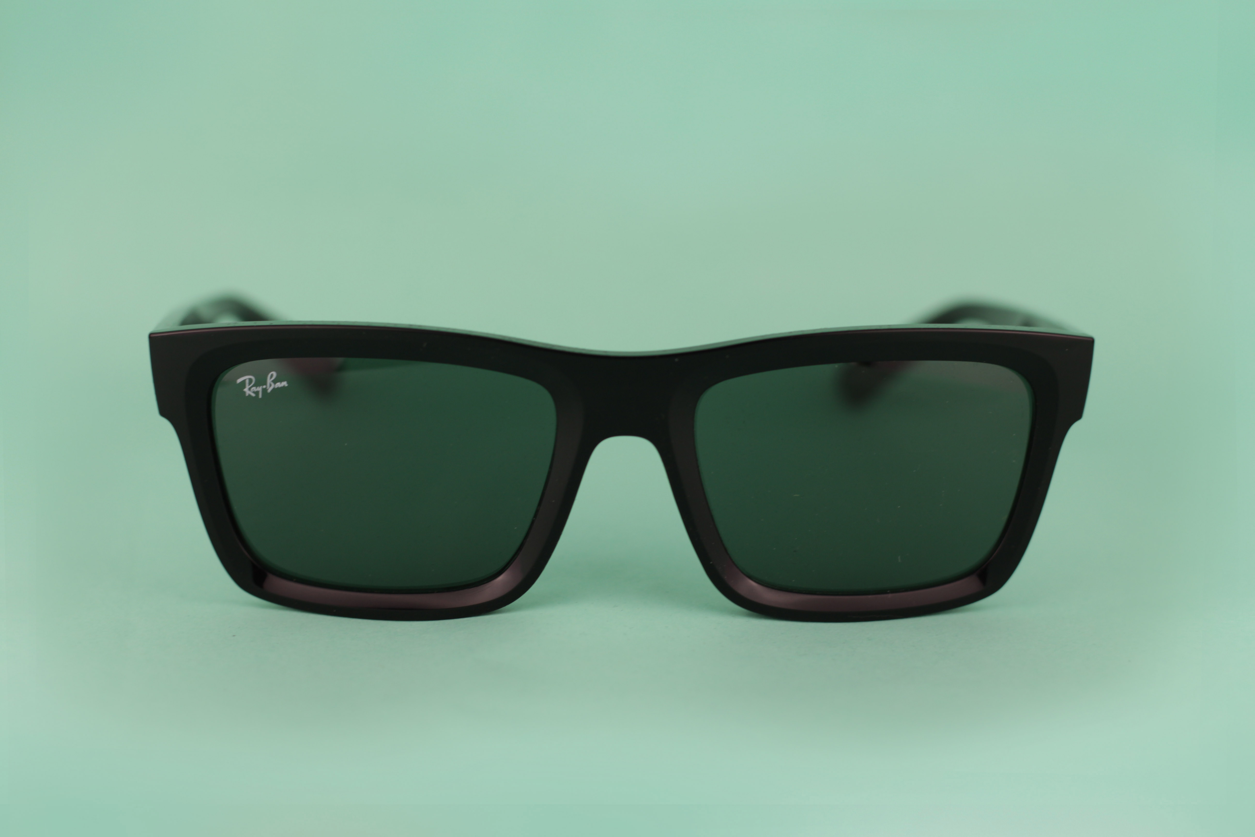 WARREN RB4396